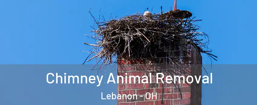 Chimney Animal Removal Lebanon - OH