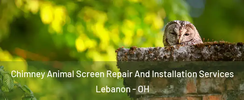  Chimney Animal Screen Repair And Installation Services Lebanon - OH