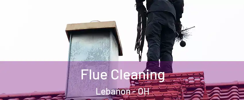  Flue Cleaning Lebanon - OH