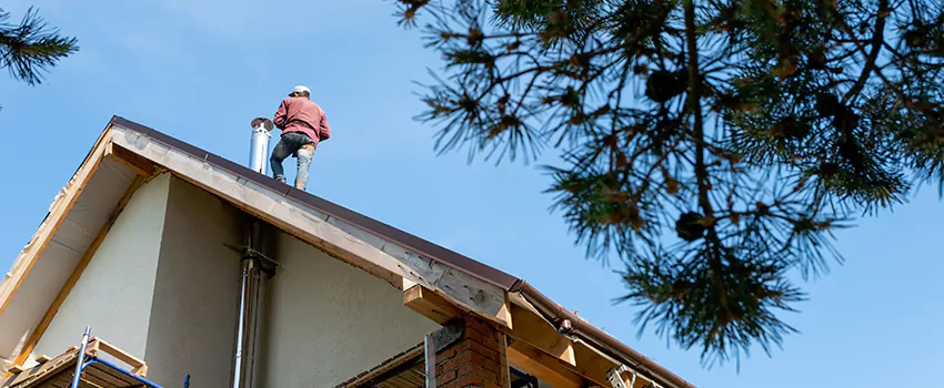 Birds Removal Contractors from Chimney in Lebanon, OH